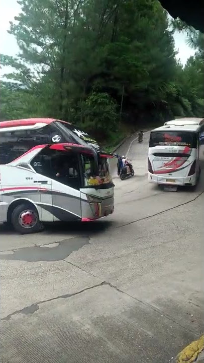 Dua Bus Mpm Adu Kecepatan Di Tanjakan Sitinjau Lauik#shorts