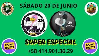 ✅ ¡DATOS EXPLOSIVOS! 💥 Proyecciones para este 20 DE JUNIO en Lotto Activo Granjita Guácharo Selva.