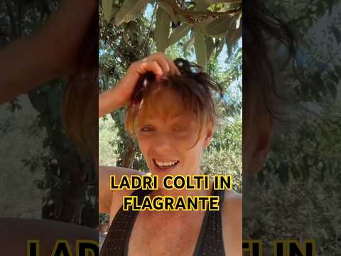 Video Cani da caccia, da tartufi? No! Ladri di mele!