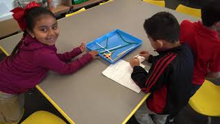 1st Grade STEM Lesson