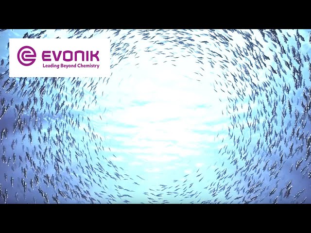 Evonik in three minutes | Evonik