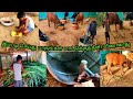 மாட்டுக்கு தீனியை வீணக்காமல் தடுக்கும் முறை/Home made feed bunks /cow feeder making in tamil