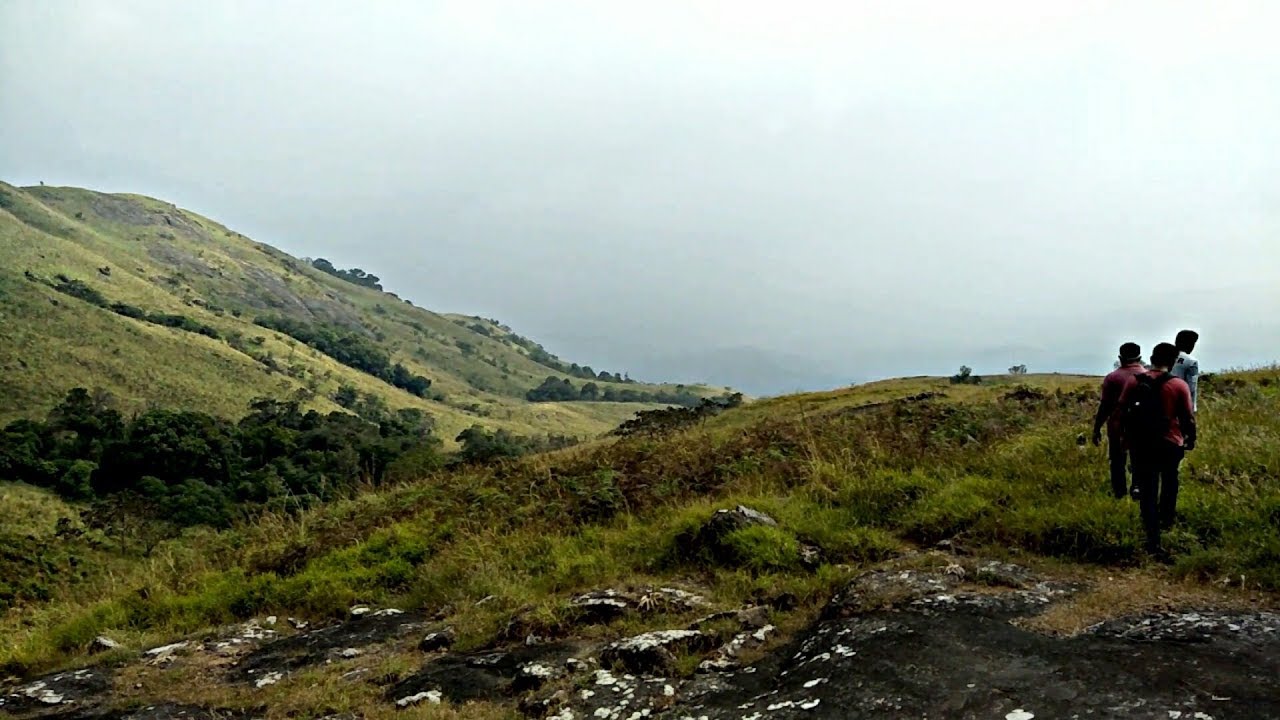 Journey To The 4 KM Up  On Hill | Idukki palkulammedu | Heavy Jungle | by mp vlogs