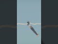 💥 Dogfight Missile Fire  Sky Turns Deadly #military #hypersonicmissile#gaming