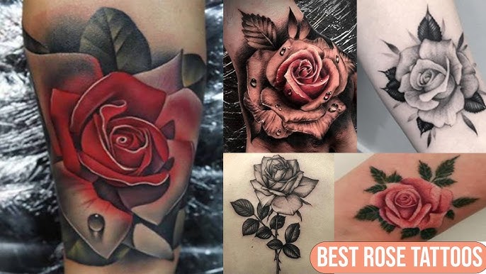 Best Rose Tattoos - Awesome Rose Tattoo Designs For Men & Women - Black And  Colour Rose Tattoos - Youtube