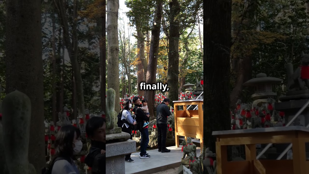 Top 3 Must-Visit Places in Tokyo!