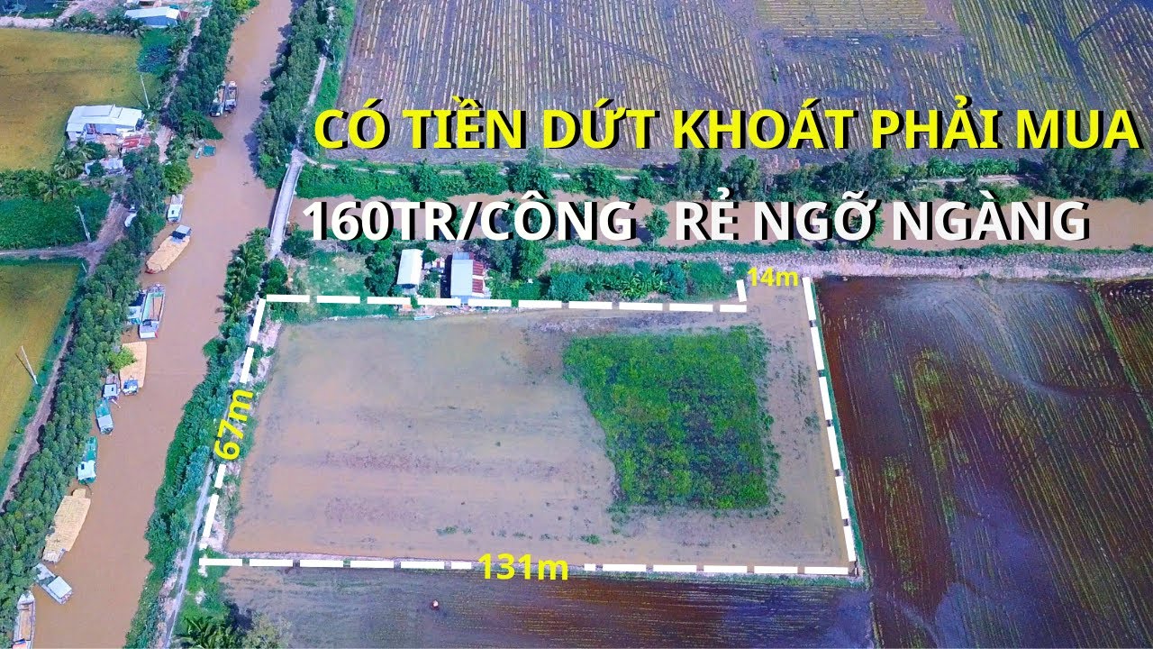 😘đã bán )10 công đất ruộng 2 MẶT TIỀN ĐƯỜNG siêu đẹp -bán đất ruộng đồng tháp