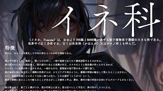 【雑談】ﾝﾜｱｱｱｱｱｱｱｱイネ科！！！イネ科花粉がよォ゙！！！！！！！！！！【絢世ユウ / PhaseConnect】