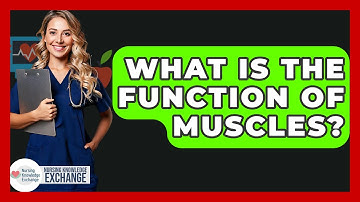 What Is The Function Of Muscles? - Nursing Knowledge Exchange