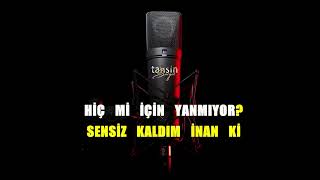 Hülya Avşar - Sensiz Kaldım / Karaoke / Md Altyapı / Cover / / Hq