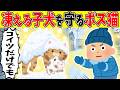 【感動】3歳児「さむい？」凍える子犬を温めるボス猫を発見した結果【ほのぼの】