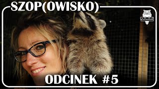 Odcinek #5 - Szop(owisko) 🦝🦝🦝