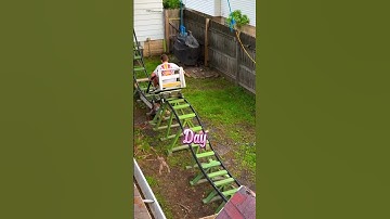 His Own Roller Coaster 🎢 #shortsvideo