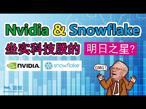 Nvidia 、Snowflake基本面现况分析|全球最大的GPU生产公司发展怎会差？|巴菲特看好的大数据会是未来几年的大趋势？|Nvidia和Snowflake能坐实科技股明日之星吗？【投资选择】