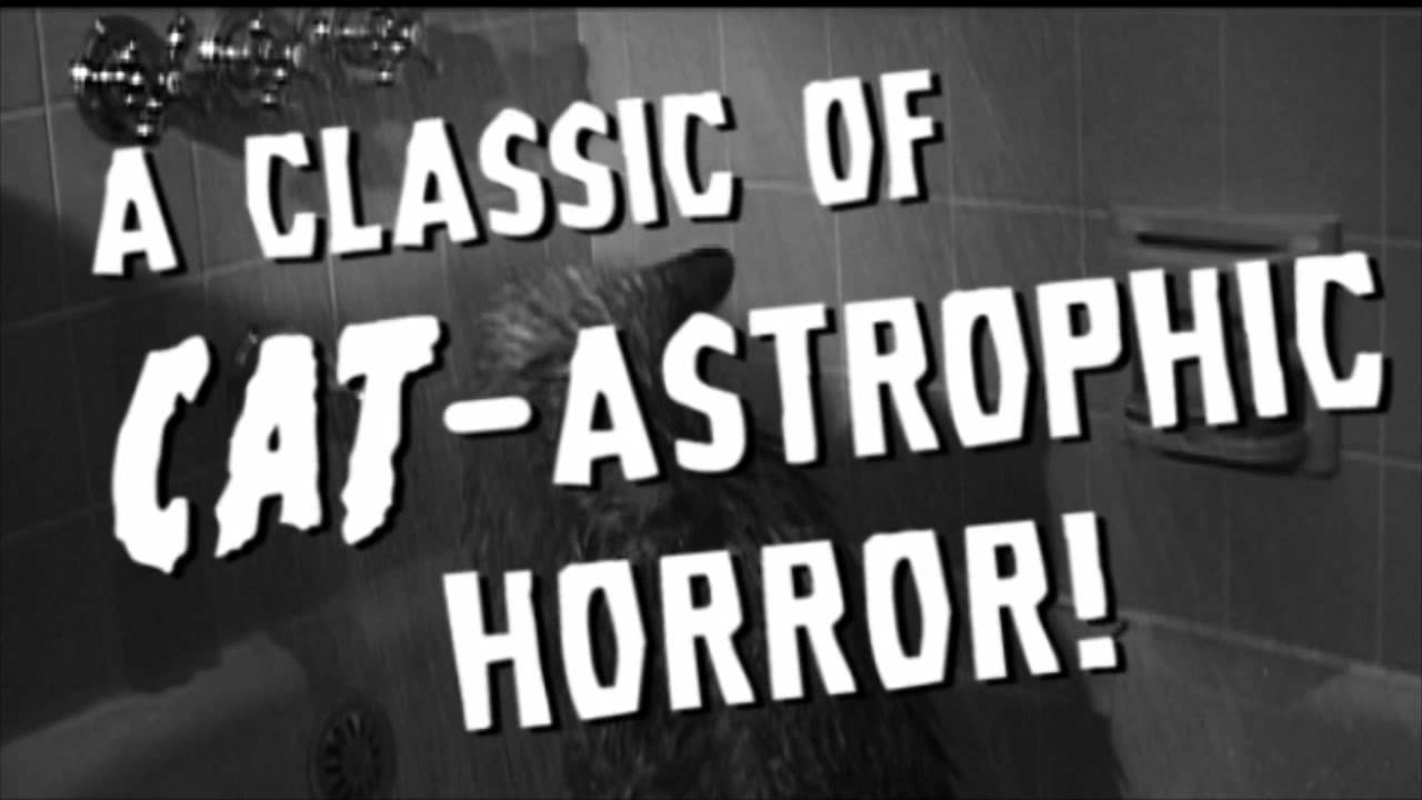 Psycho Kitties Trailer - See the film on PBS Shorts Showcase