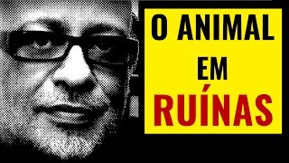 Luiz Felipe Pondé • O Animal em ruínas