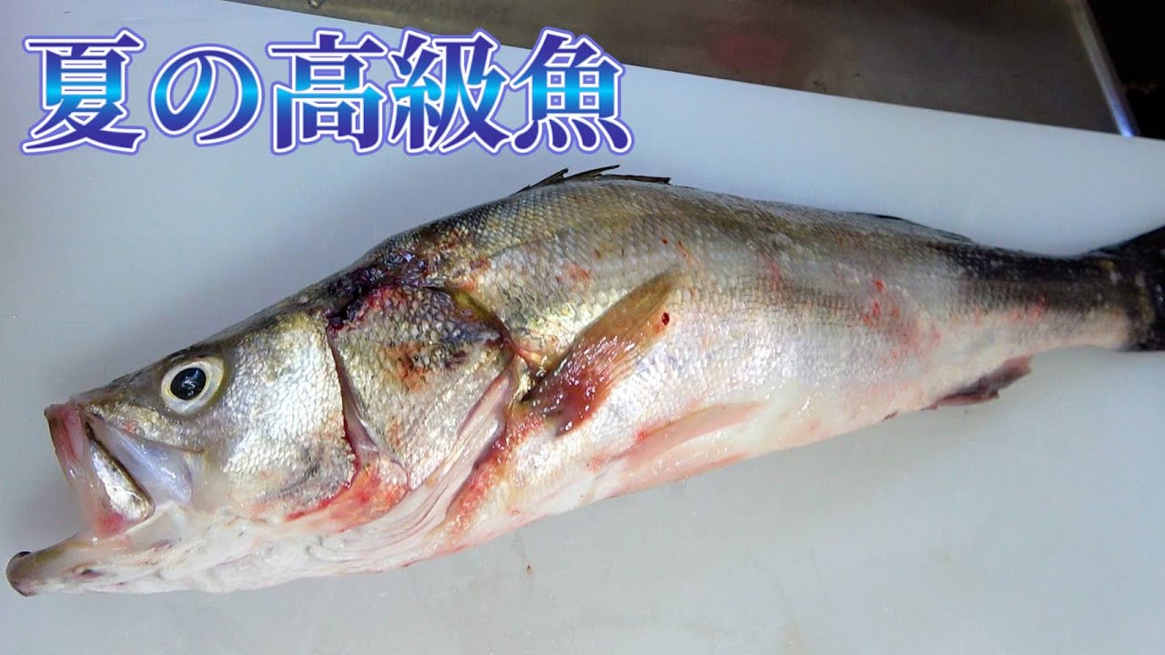 【じいちゃんの晩御飯】夏の高級魚スズキ尽くしを作ったよ！