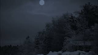 THY GRIEF(NORWAY)-  A COLD WINTERS MOURNING  (1995)