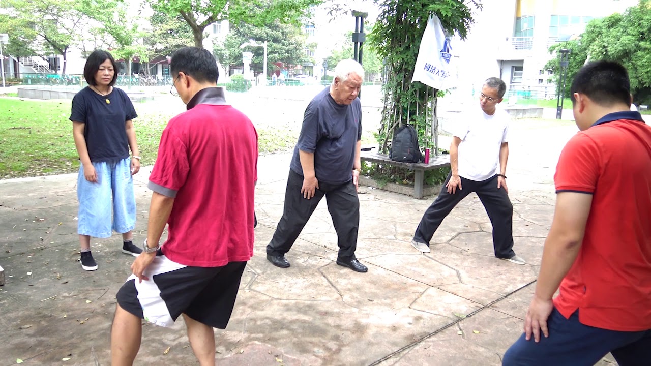 Posture in Tai Ji Quan - Ma Hai Long Interview - 5 of 6