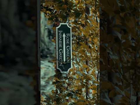 Watch Shot On iPhone 15 Cinematic Mode • #victoria #butcher #garden on YouTube Watch Shot On iPhone 15 Cinematic Mode • #victoria #butcher #garden on YouTube