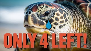 Only 4 Left: The World’s Rarest Turtle