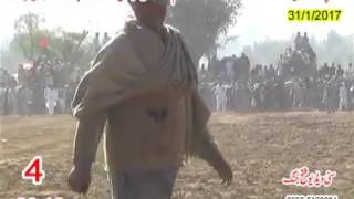 Latest Bull Race February 2017 | Pakistani Bull Race | Daanda Ne Jalsey screenshot 2