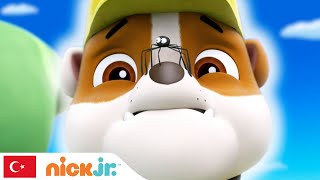 Pati Devriyesi | Yavruların, Yardımına İhtiyacı Var!  1. Bölüm | Nick Jr.