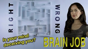 BRAIN JOB: Perception