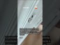 Casal foge de apartamento durante terremoto na Colômbia