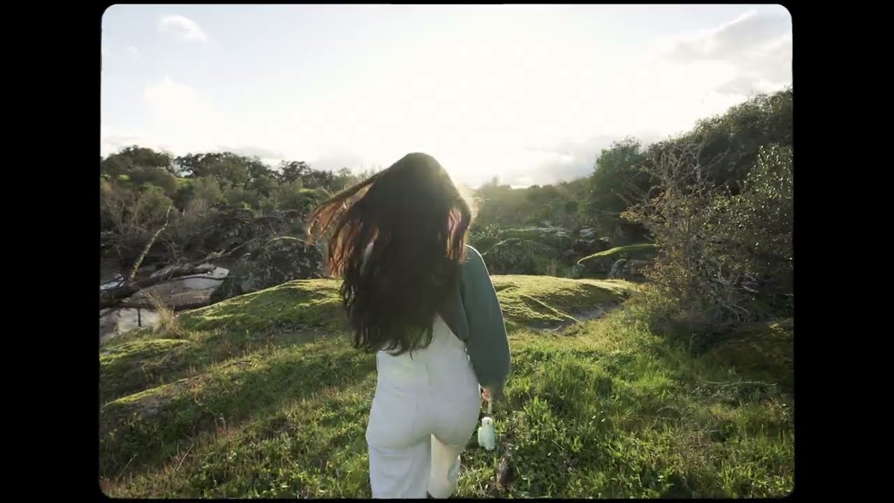 the offline experience