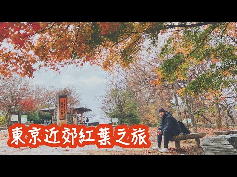 高尾山一日遊！紅葉🍁美食🍡登山纜車🚠日本東京近郊最新現況。
