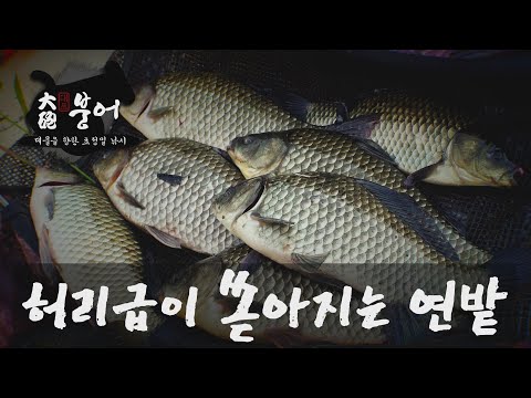 철옹성의 연밭에서 쏟아진 허리급 대물들 한국낚시방송_대포붕어 5화감독판