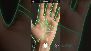 Your palm holds more than you think #aishorts #ai #chatbot #chatgpt #claude #sunlyai #palmistry