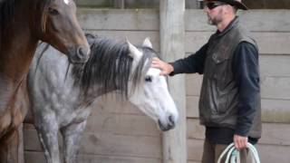 Tribute to Silver
