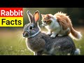 Mind-Blowing Facts About Rabbits You Didn't Know!"