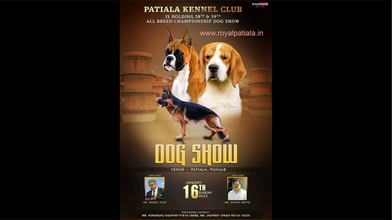 Live Dog Show Polo Ground Patiala🙏🏻🌸 ਲਾਈਵ ਡੌਗ ਸ਼ੋਅ ਪੋਲੋ ਗਰਾਊਂਡ ਪਟਿਆਲਾ🙏🏻🌸