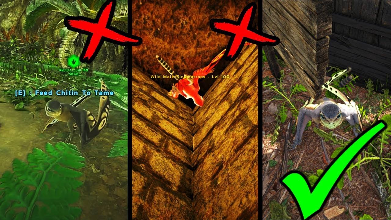Ark Best and Fastest Sinomacrops tame method (100% STILL WORKING 2022)