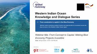 From Concepts to Capital  Making Blue Economy Projects Investible