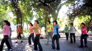 The Blurred Moon 月朦朧鳥朦朧 - line dance (Linda Kwan)
