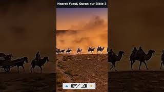 Hazrat Yusuf, Quran aur bible 3 - Abu Yahya (Rehan Ahmed Yousufi) #shorts #abuyahya #insaankikahani