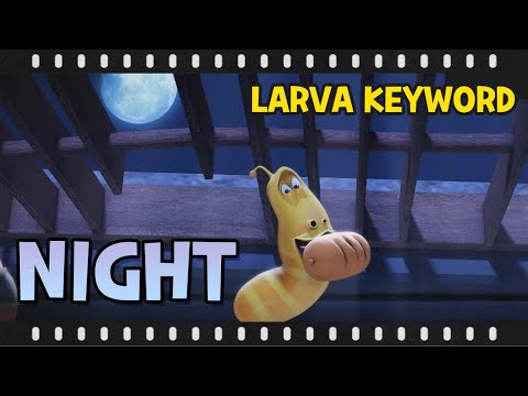 Larva Keyword episode plus - Night🌛