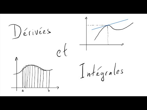 Vidéo: Quelle est la relation entre intégrale et dérivée ?