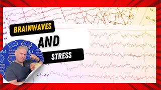 Introduction to Brainwaves and Stress