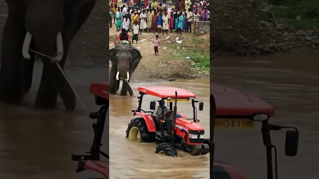Gentle Giant’s Quick Sip! 🐘💦