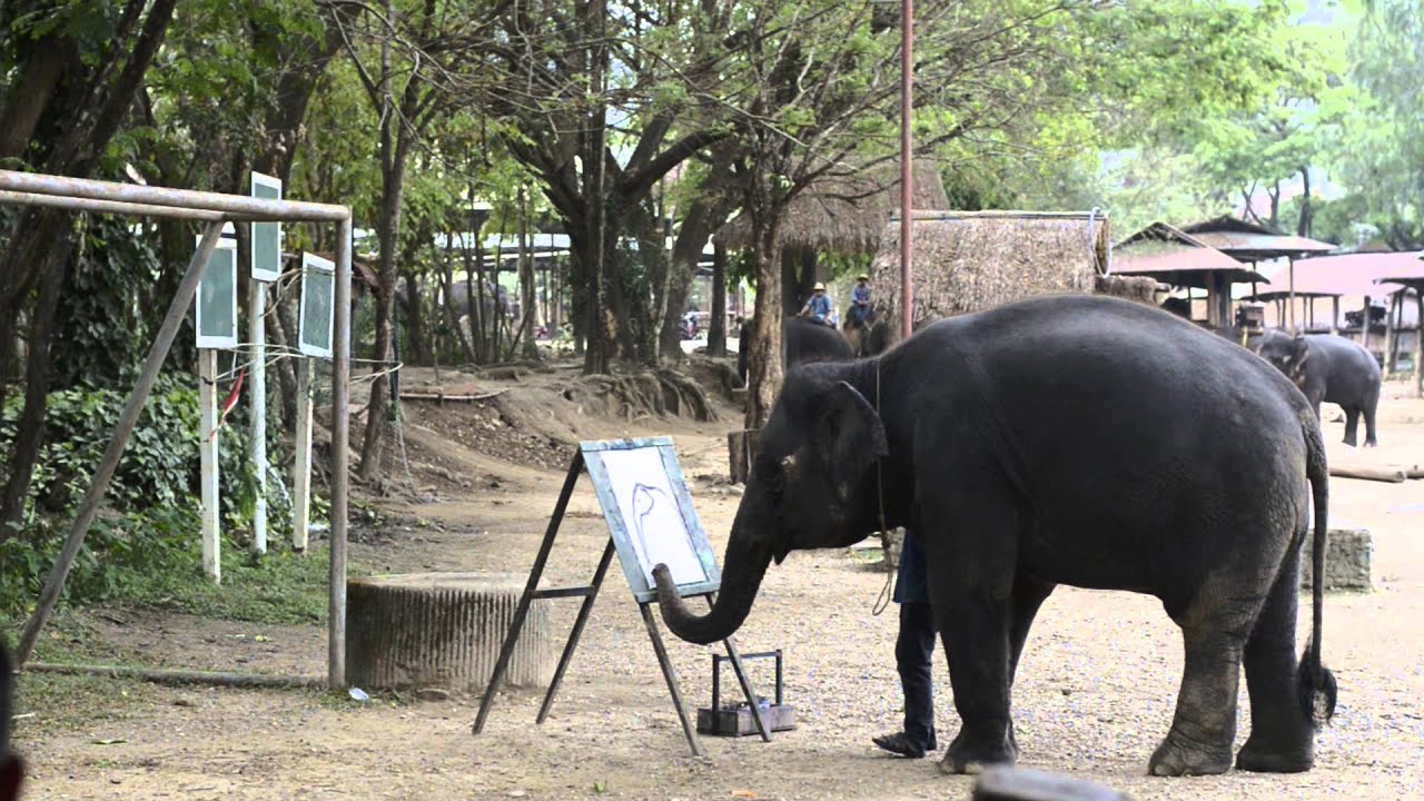 Elephant painting YouTube