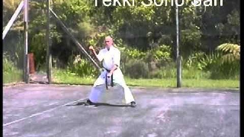 1ST Kyu Grading Syllabus