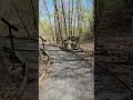 Peaceful Walk #hiking #asmr #mentalhealth #peace #love #nature #journey #joy #beautiful #shorts #fun