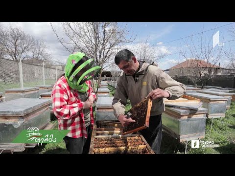 #ფერმა გამოცდილი მეფუტკრის, ლადო ვარდოსანიძის წარმატებული საფუტკრე მეურნეობა