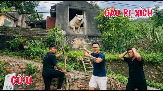 Tin Vui! Phát Hiện Chó Trắng Gấu Tuyết Bị Xích Tại Nhà Bà Cu Ninh, Nghi Ngờ Minh Vương Và Sự Thật
