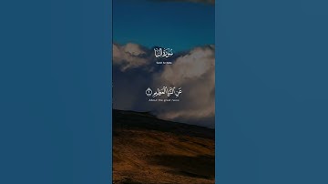تلاوة رائعة للقران الكريم. #اكسبلور #تيك_توك #الجزائر